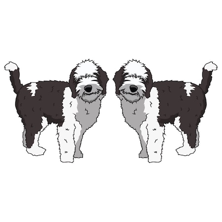 Signmission Sheepadoodle Dog Decal, Dog Lover Decor Vinyl Sticker D-24-Sheepadoodle